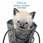 Cats in Small Places 2017 Calendar