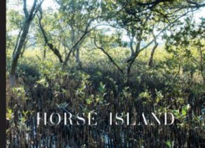 Horse Island by Christina Kennedy