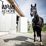 Horses At Home 2017 Calendar