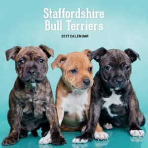 Staffordshire Bull Terrier 2016 Calendar by Various