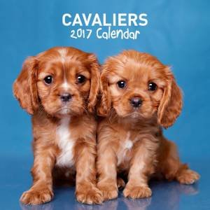 Caviller's 2017 Calendar by Various