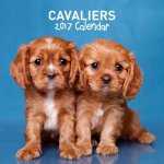 Cavillers 2017 Calendar