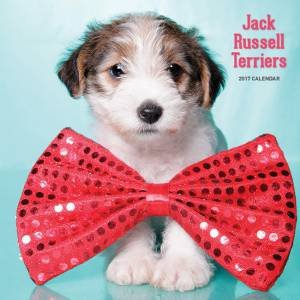 Jack Russell Terrier 2017 Calendar by Various