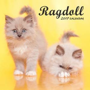 Ragdolls 2017 Calendar by Various