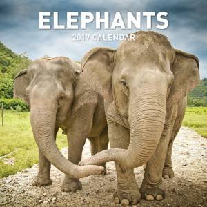 Elephants 2017 Calendar by Various