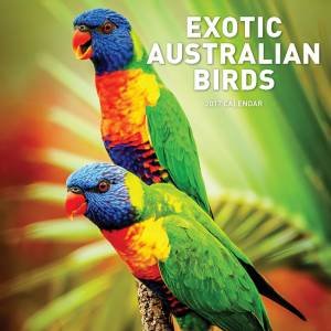 Exotic Australian Birds 2017 Calendar by Various