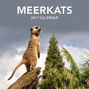 Meerkats 2017 Calendar by Various
