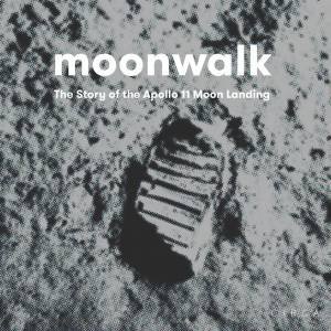 Moonwalk: The Story Of The Apollo 11 Moon Landing by David Jenkins