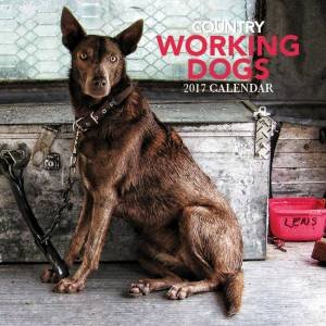 Australian Working Dogs 2017 Calendar by Various