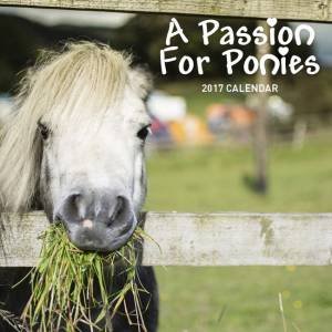 A Passion For Ponies 2017 Calendar by Various