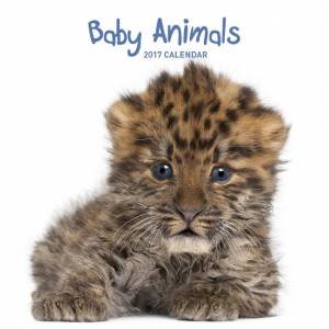 Baby Animals 2017 Calendar by Various