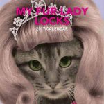 Kitty Wigs 2017 Calendar