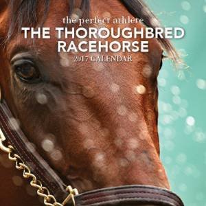 The Perfect Athlete: Thorough Bred Racehorse 2017 Calendar by Various