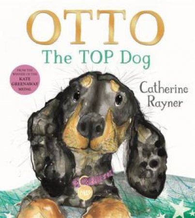 Otto The Top Dog by Catherine Rayner