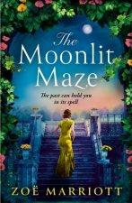 The Moonlit Maze