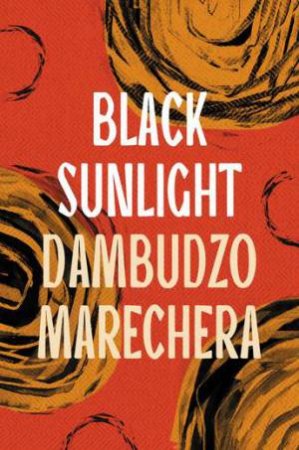 Black Sunlight by Dambudzo Marechera