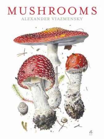 Mushrooms Notecard Assortment by Alexander Viazmensky