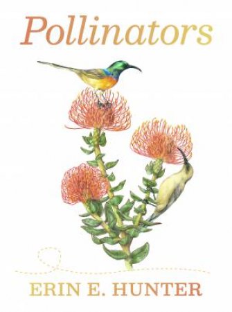 Pollinators Boxed Notecard Assortment by Erin E. Hunter