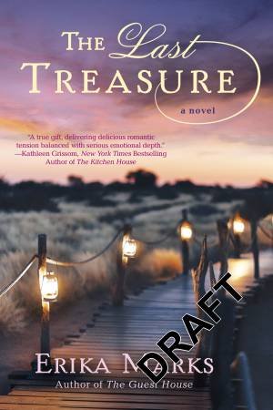 Last Treasure The by Erika Marks