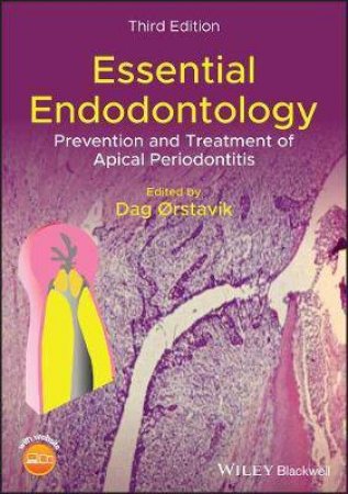 Essential Endodontology by Dag Orstavik