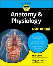 Anatomy  Physiology For Dummies 3rd Edition