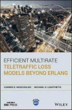 Efficient Multirate Teletraffic Loss Models Beyond Erlang