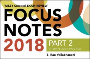 Wiley Ciaexcel Exam Review 2018 Focus Notes, Part 2 by Wiley