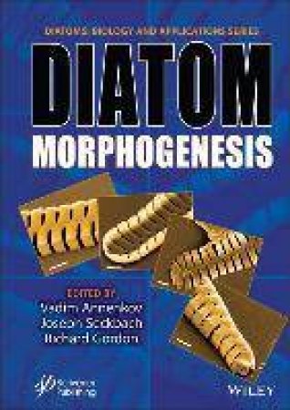 Diatom Morphogenesis by Vadim V. Annenkov & Joseph Seckbach & Richard Gordon