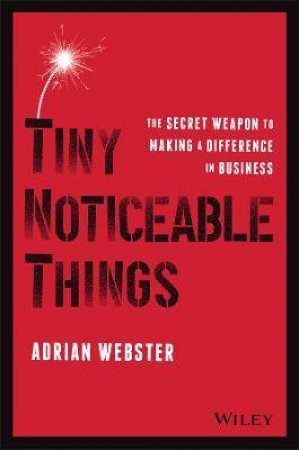 Tiny Noticeable Things by Adrian Webster