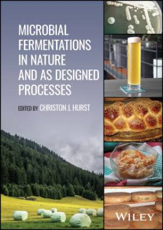 Microbial Fermentations in Nature and as Designed Processes by Christon J. Hurst