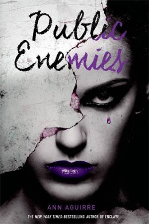 Public Enemies by Ann Aguirre