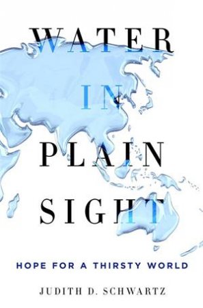 Water In Plain Sight: Hope For A Thirsty World by Judith D Schwartz