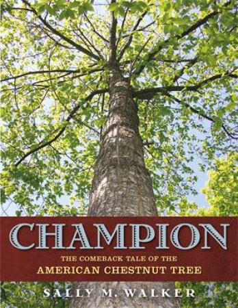 Champion by Sally M Walker