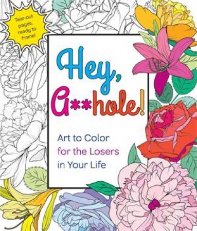 Hey, A**hole: Art To Color For The Losers In Your Life by Caitlin Peterson