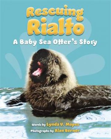 Rescuing Rialto: A Baby Sea Otter's Story by Lynda V. Mapes & Alan Berner