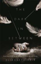 The Dark InBetween