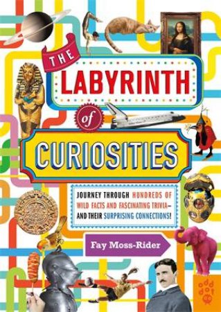 The Labyrinth of Curiosities by Fay Moss-Rider