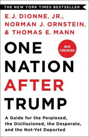 One Nation After Trump by E. J. Dionne Jr, Norman J. Ornstein & Thomas E. Mann