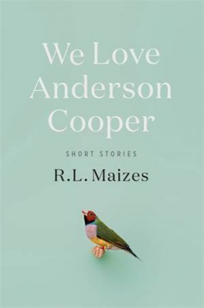 We Love Anderson Cooper by R.L. Maizes