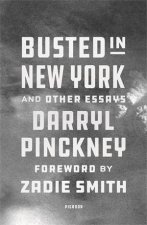 Busted In New York And Other Essays