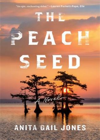 The Peach Seed by Anita Gail Jones