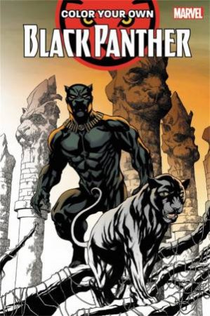 Colour Your Own Black Panther by Brian Stelfreeze