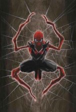 Superior Spiderman Vol 1