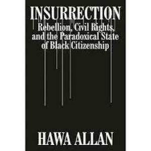 Insurrection by Hawa Allan