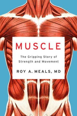 Muscle by Roy A. Meals