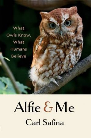 Alfie and Me What Owls Know, What Humans Believe by Safina