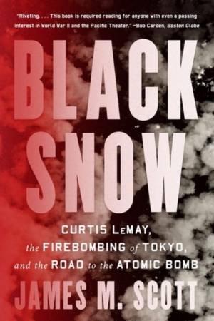 Black Snow by James M. Scott