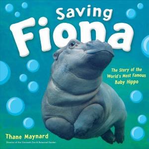 Saving Fiona: The Story Of The World's Most Famous Baby Hippo by Thane Maynard