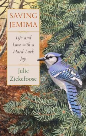 Saving Jemima: Life And Love With A Hard-Luck Jay by Julie Zickefoose