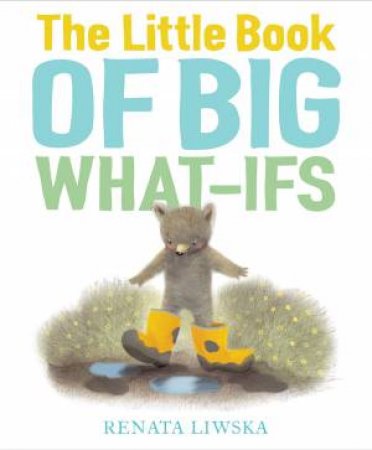 The Little Book Of Big What-Ifs by Renata Liwska